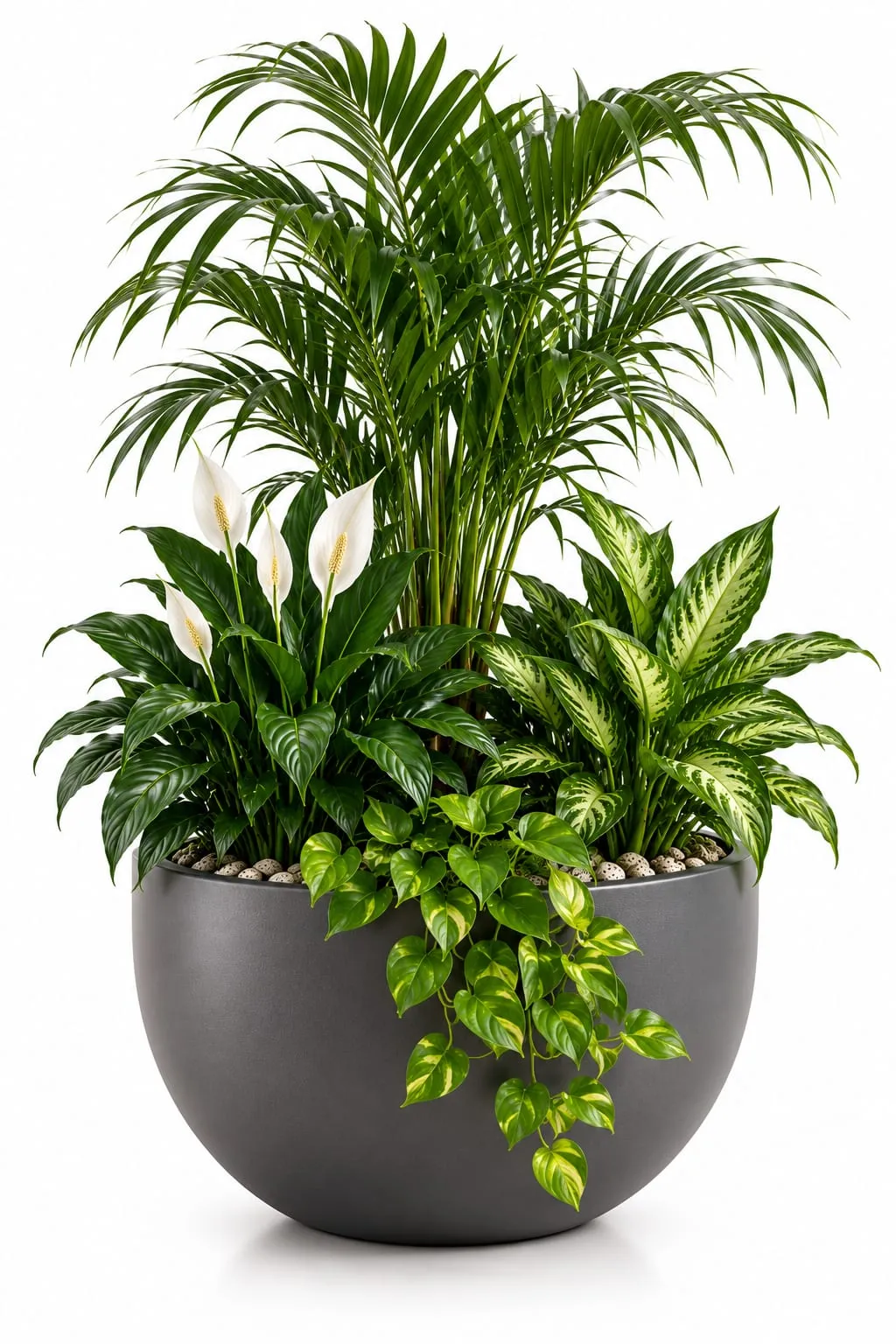 Ejemplo de composición con plantas de interior
