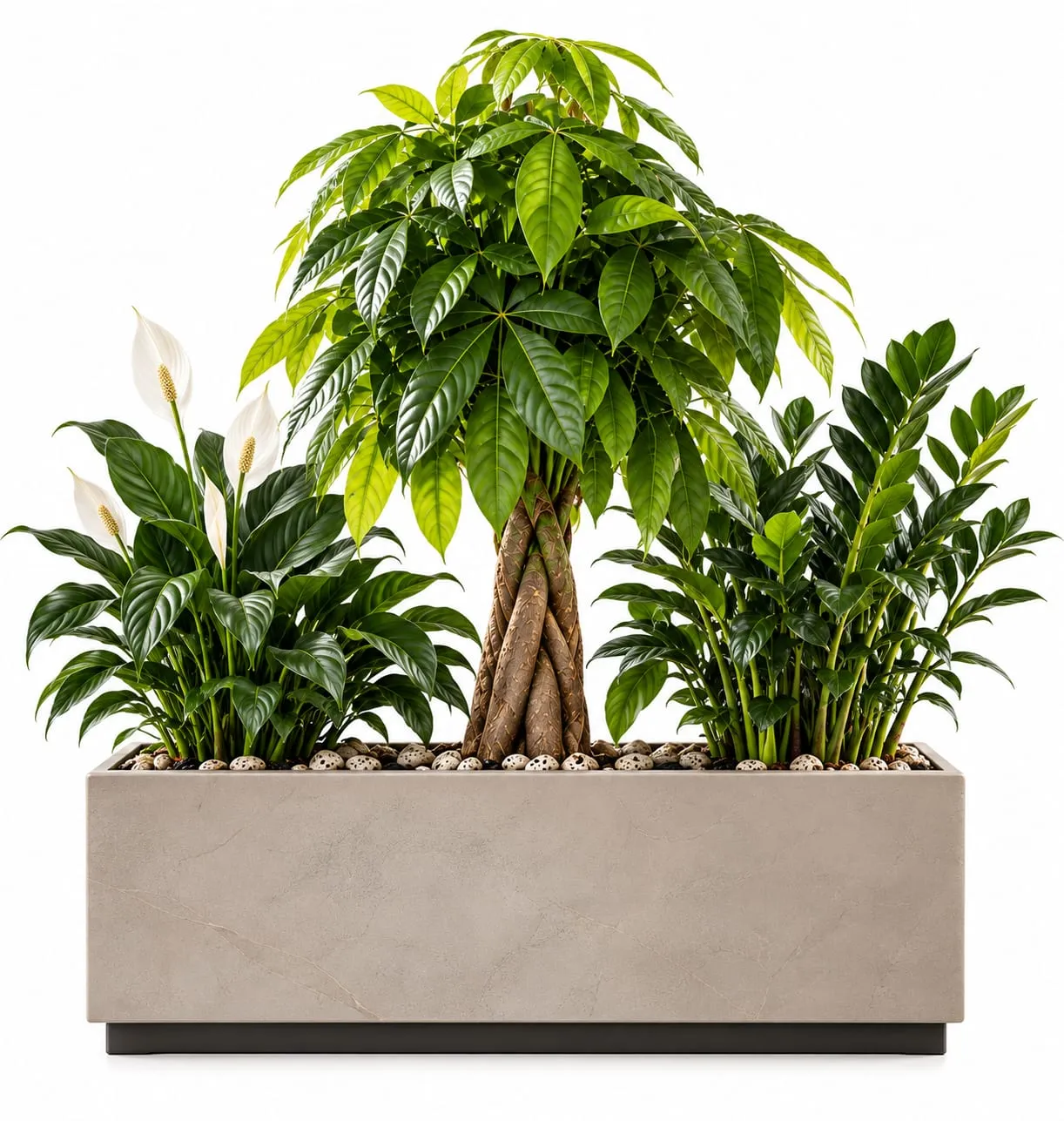 Ejemplo de jardinera con plantas de interior